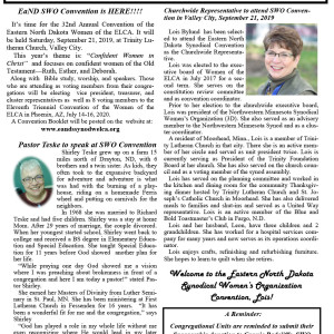 Connections Volume 22 No.3 July-September 2019